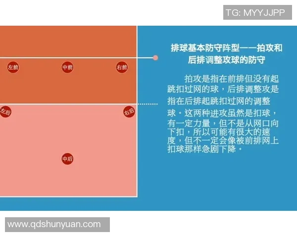 上海排球队进攻战术解析与球队表现的深度剖析